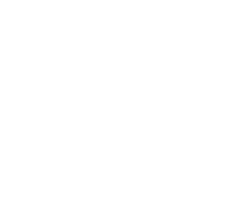 24 Vertical Octane